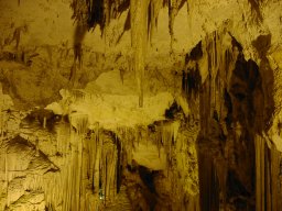 bild 176